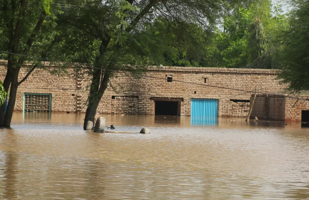 Washed Away: Punjab's Farmers Face Ruin After Record Monsoon Floods