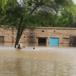 Washed Away: Punjab's Farmers Face Ruin After Record Monsoon Floods