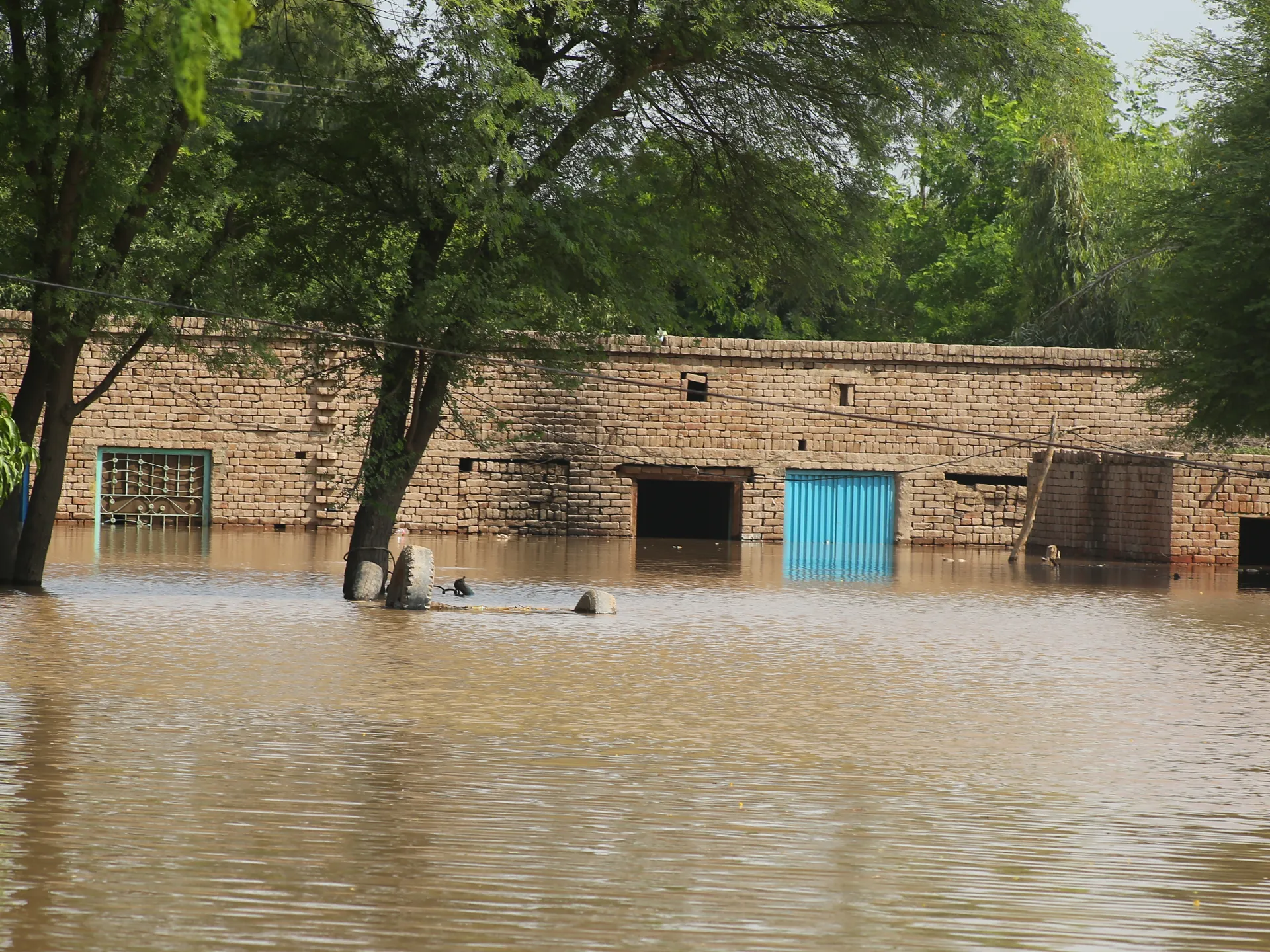 Washed Away: Punjab's Farmers Face Ruin After Record Monsoon Floods