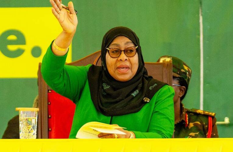 Tanzania Urges Citizens to Stay Home Following Turbulent Election Day