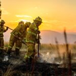Deadly Bushfires Ravage Southeast Australia as Heatwave Pushes Communities to the Brink