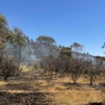 Firefighters Order Mass Evacuations as Record-Breaking Heatwave Fuels Dangerous Bushfires Across Australia