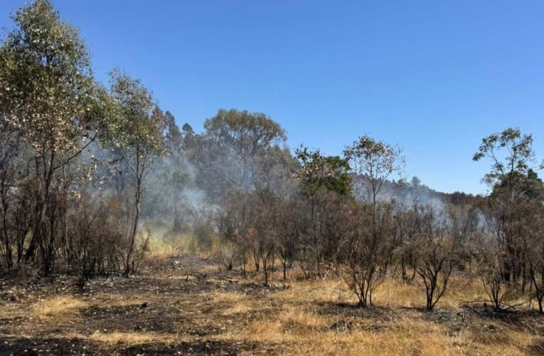 Firefighters Order Mass Evacuations as Record-Breaking Heatwave Fuels Dangerous Bushfires Across Australia