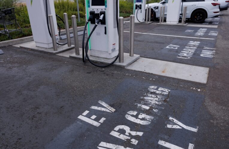 Sri Lanka Urges EV Owners to Rethink Charging Habits Amid Growing Energy Strain