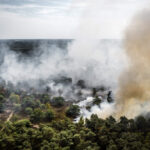 Forest fire grows rapidly in Dutch nature reserve as firefighters battle to stop the flames
