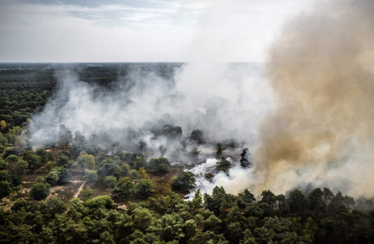 Forest fire grows rapidly in Dutch nature reserve as firefighters battle to stop the flames